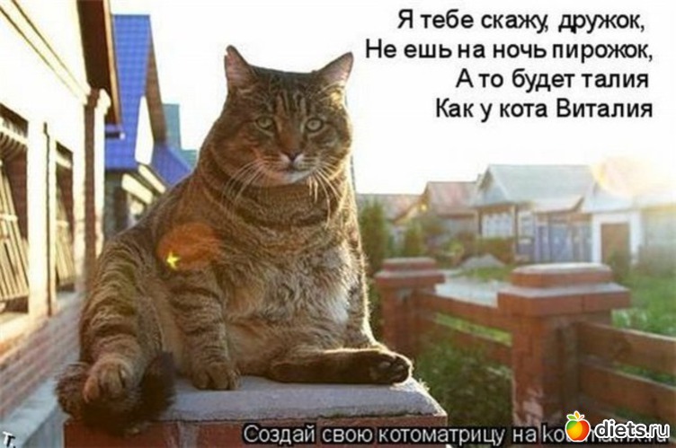 7 ����: ������)))
