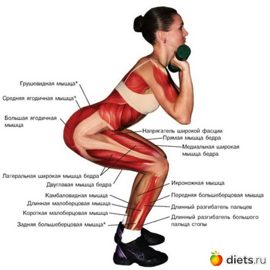 1 ����: �����