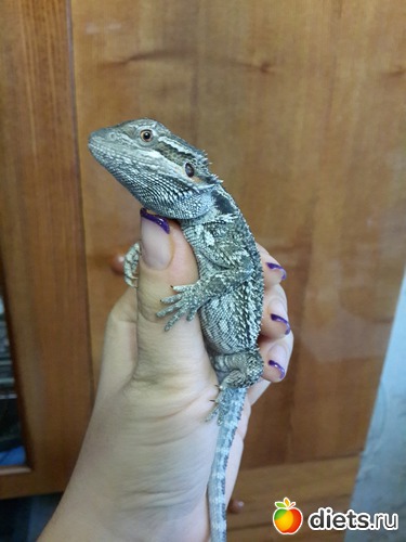 38 ����: ��� ������� �����