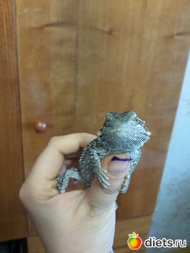 39 ����: ��� ������� �����