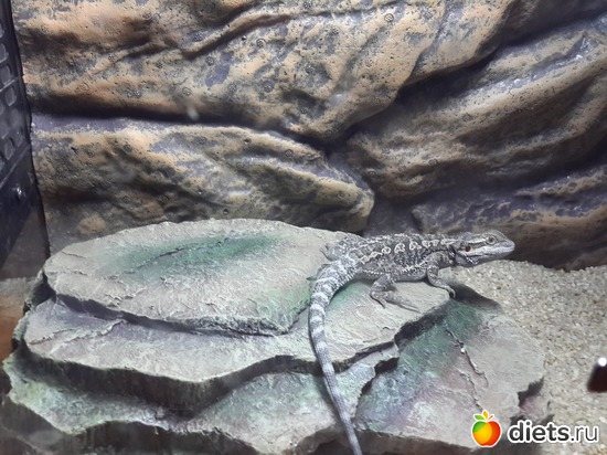 29 ����: ��� ������� �����