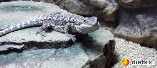 30 ����: ��� ������� �����