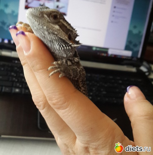 32 ����: ��� ������� �����