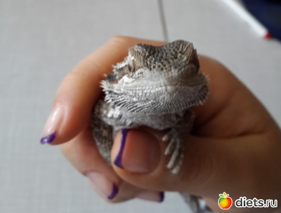 34 ����: ��� ������� �����