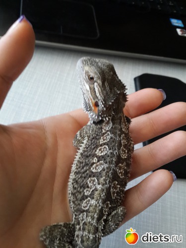 35 ����: ��� ������� �����