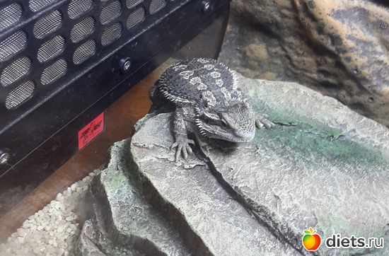 36 ����: ��� ������� �����