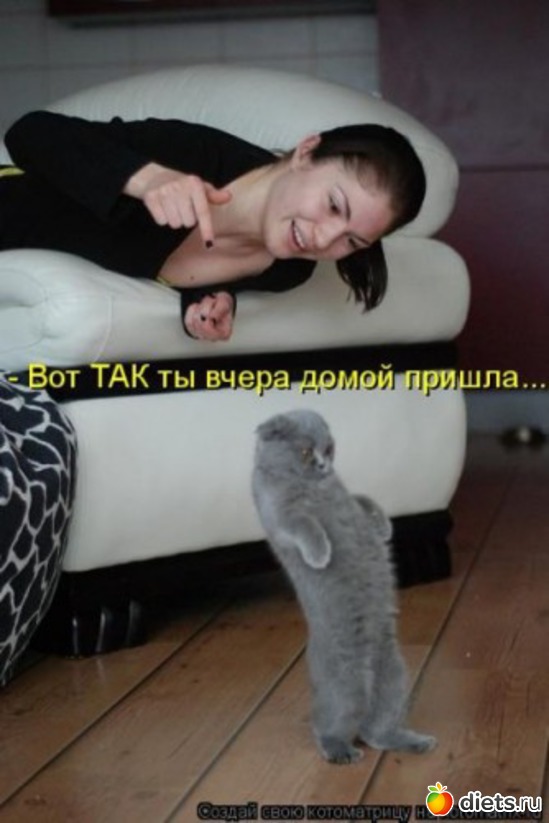 2 ����: ����������