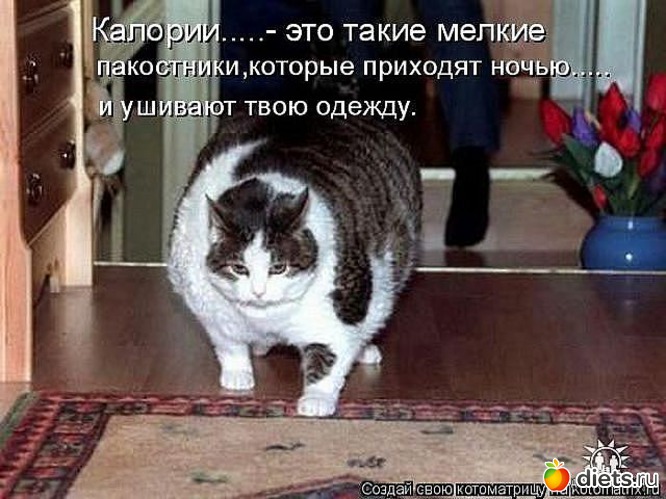 3 ����: ����������