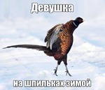 Женщины, перестаньте уже наконец пугать фразой «Я подума-ла». Говорите прямо и честно — «Мне в голову взбрело»!
