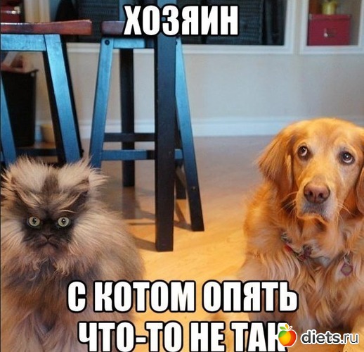 7 ����: �������