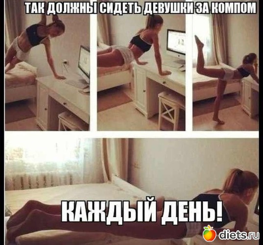 86 ����: ���������