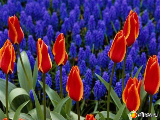 14 фото: всякая всячина...