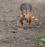 ��� � ���������� ��� ���� � ������������.