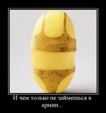 -        ? - ,      .