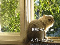 всякая всячина...
