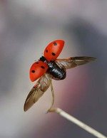 1 ���� ������ �������!