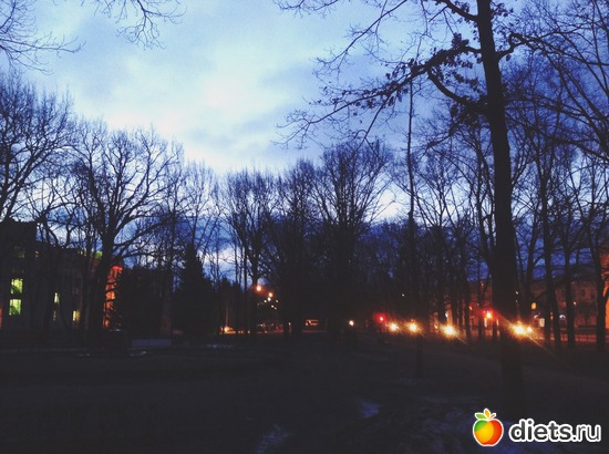 5 ����: �� �����