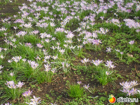 10 фото: Весна