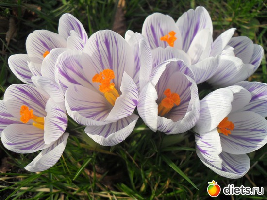 15 ����: �����