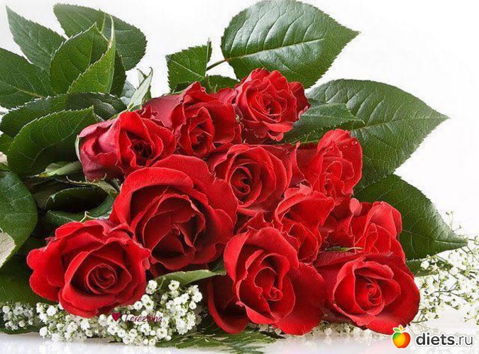 33 фото: всякая всячина...