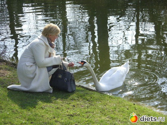 3 ����: C'est ma vie