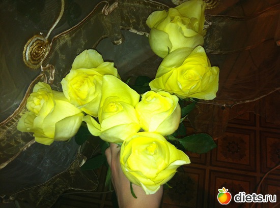 28 ����: ��������
