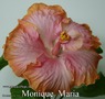 103 - Monique Maria