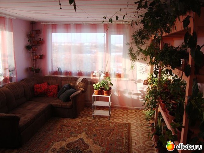 3 фото: Мой зимний сад