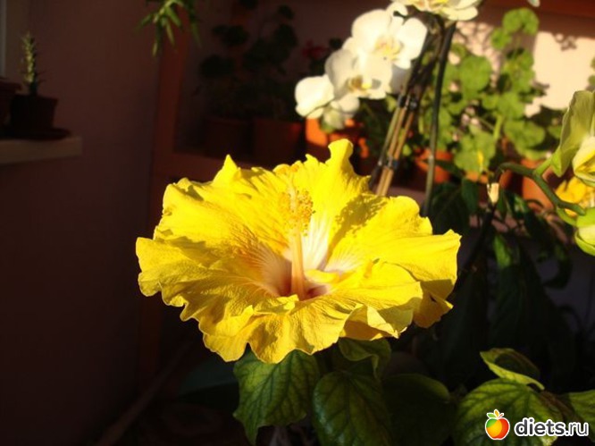 8 ����: ��� ������ ���