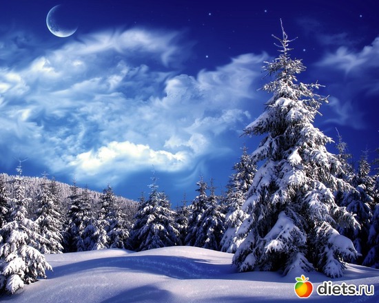 6 фото: Елочка