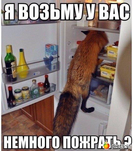 77 ����: �� ���������