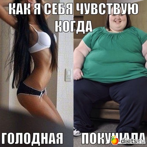 83 ����: �� ���������