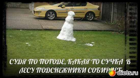 10 фото: Все для похудения