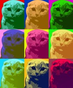 Индивидуал:)