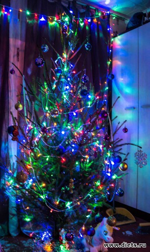 Никон Д3100 кит 18-55, альбом: Новый год