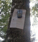 Хочу предложить постоянную рубрику для нашей группы. Всем срочно принять участие в голосовании и обсуждении!!!