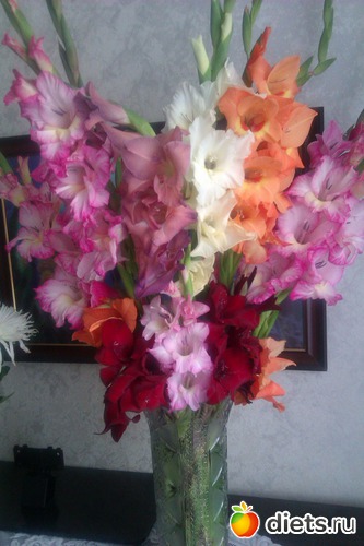 последний осенний букет, альбом: Мои Цветочки