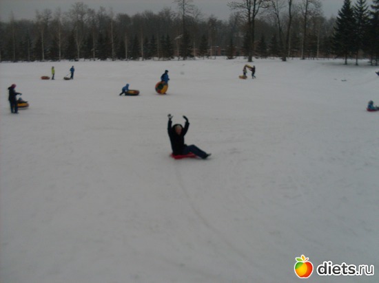 43 ����: ���� 2014