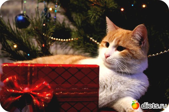 7 фото: Новый год