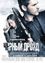 Черный дрозд.