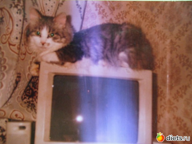 мой Пушкин, альбом: ВЕНЬКА