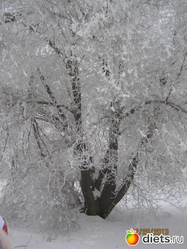 11 фото: разное