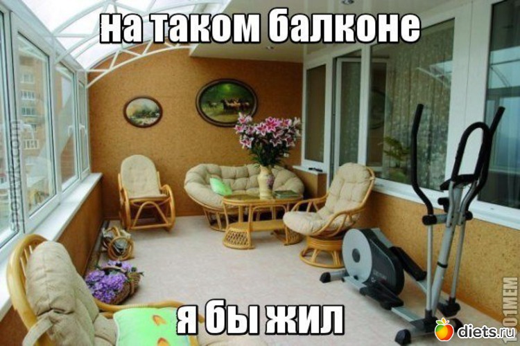 51 ����: ���������