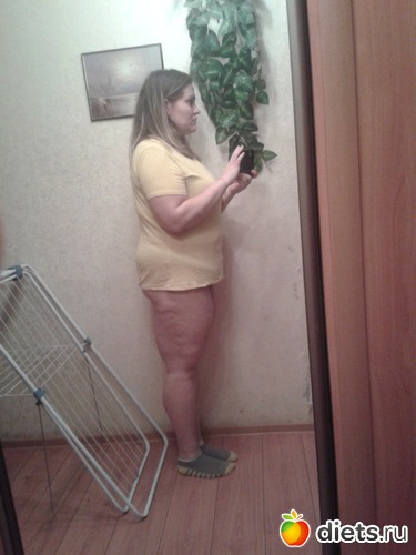 31 ����: �