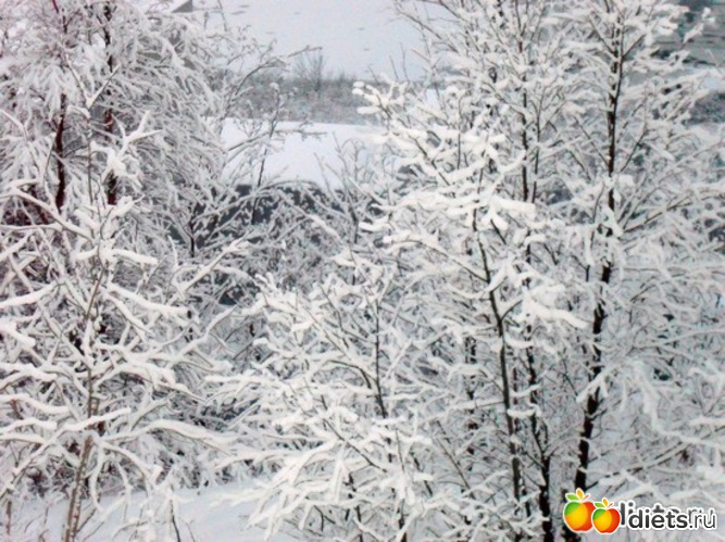 20 фото: Новый год