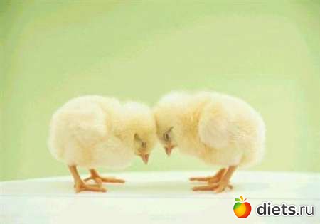 Открытки,картинки,фото.