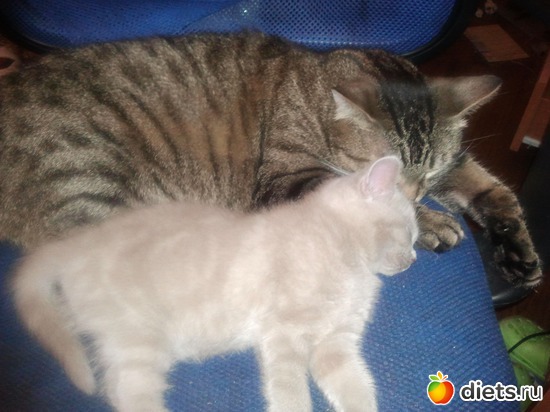 5 фото: Котя