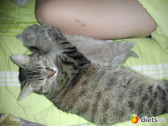 6 фото: Котя