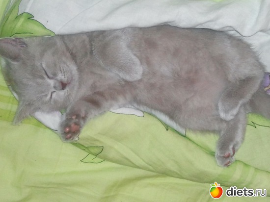 7 фото: Котя