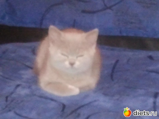 9 фото: Котя